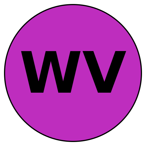 WiseVoyage